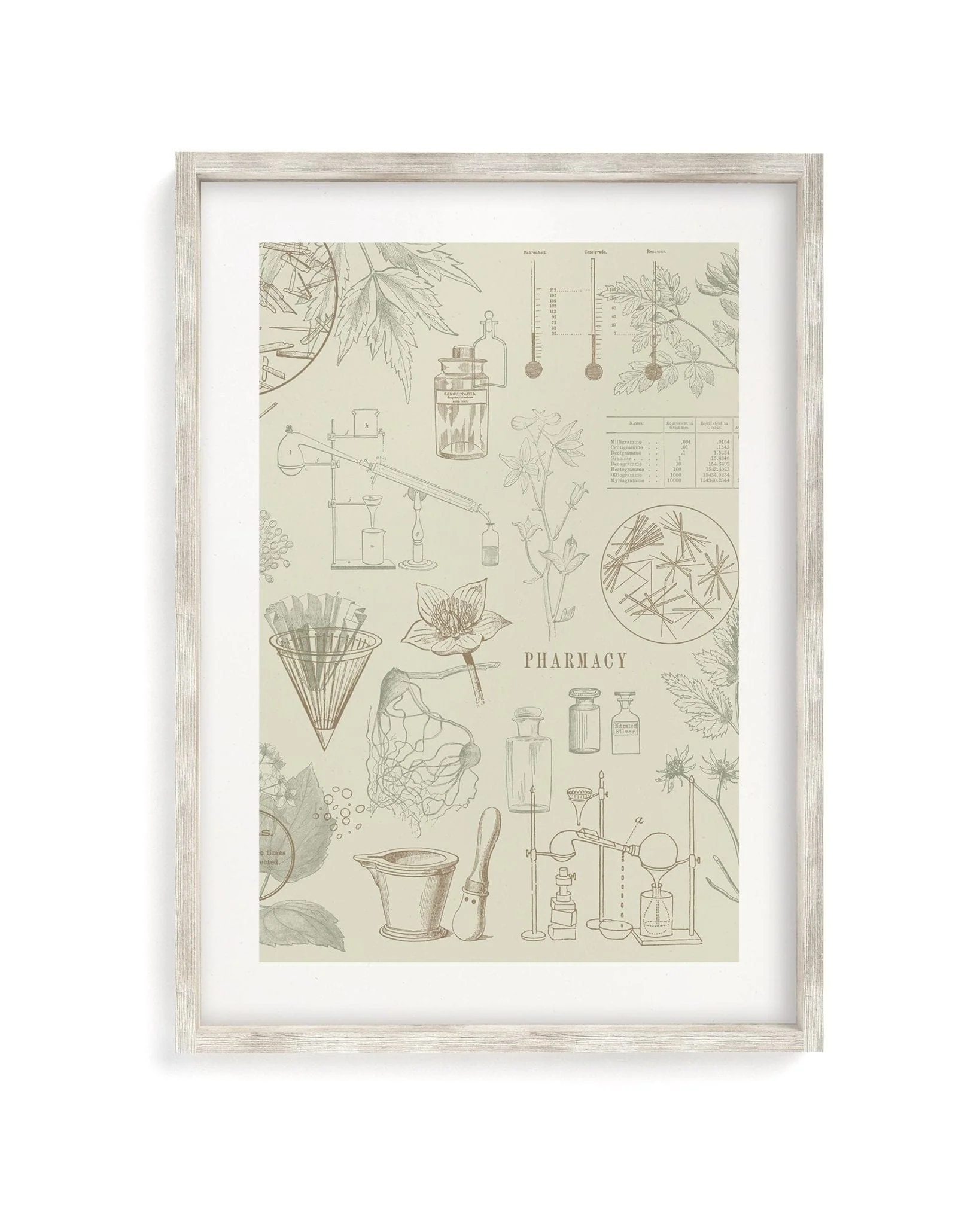 Pharmacy Scientific Illustration Museum Print - Image 4