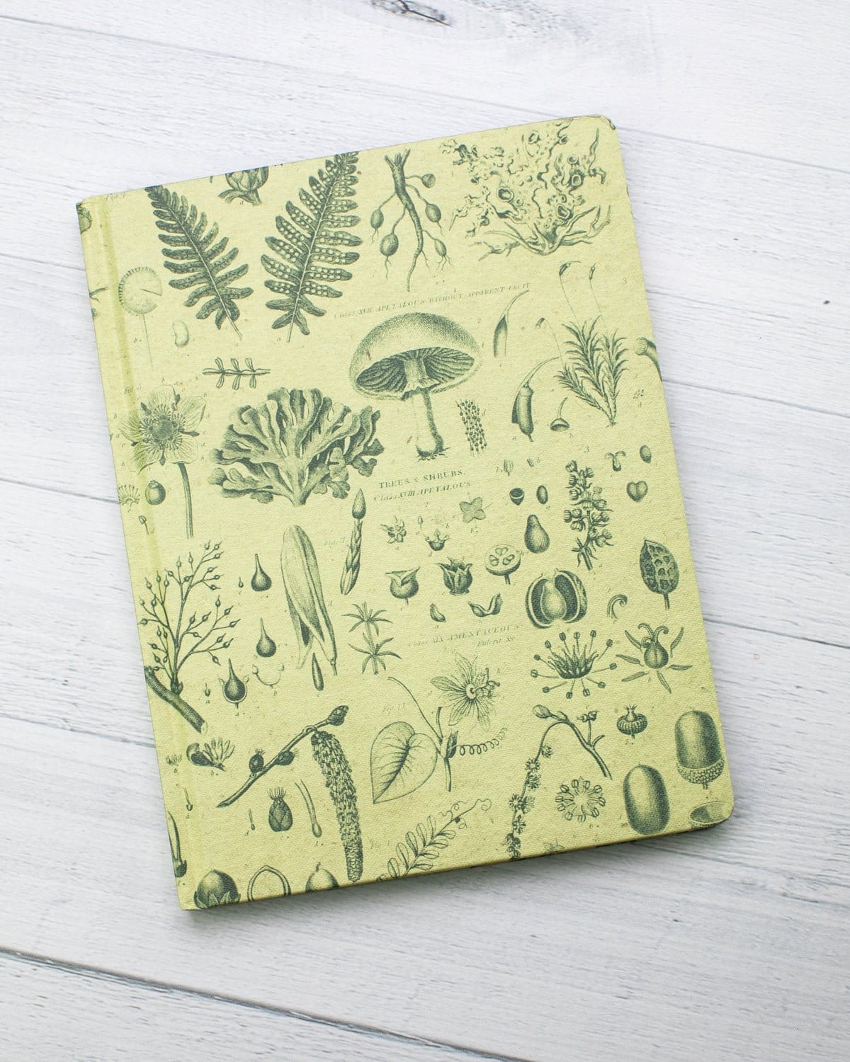 Plants & Fungi Hardcover Notebook - Lined/Grid - Image 5