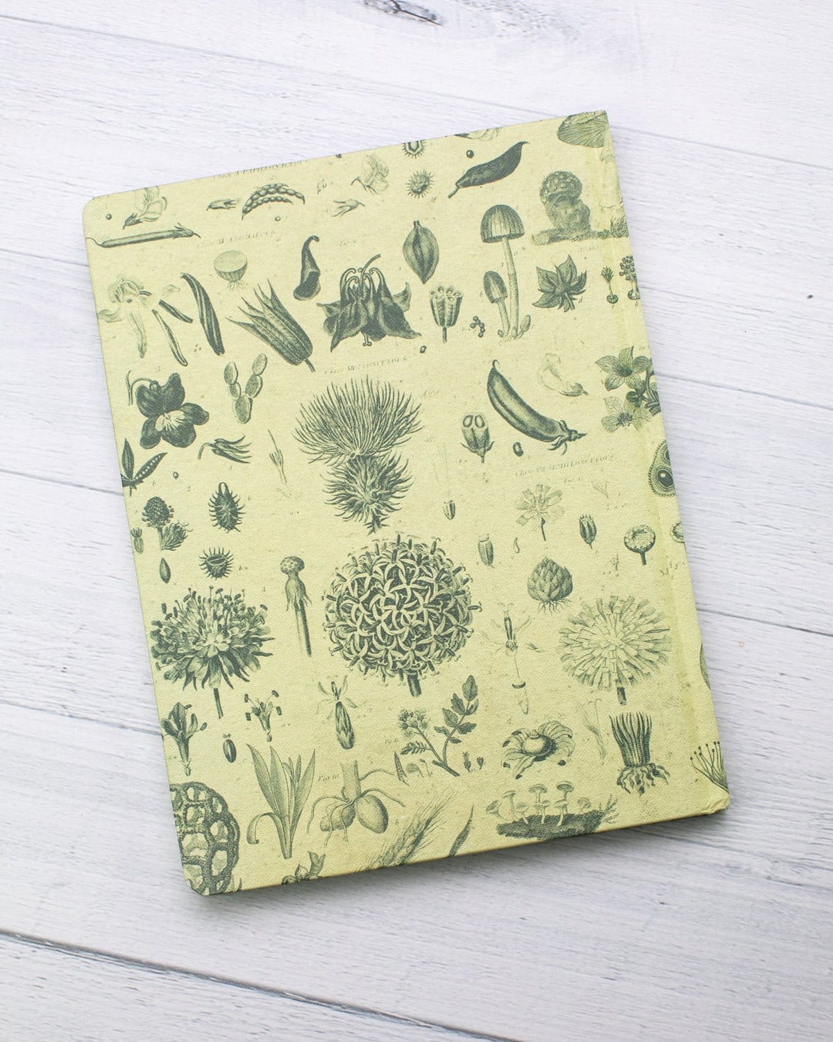 Plants & Fungi Hardcover Notebook - Lined/Grid - Image 6