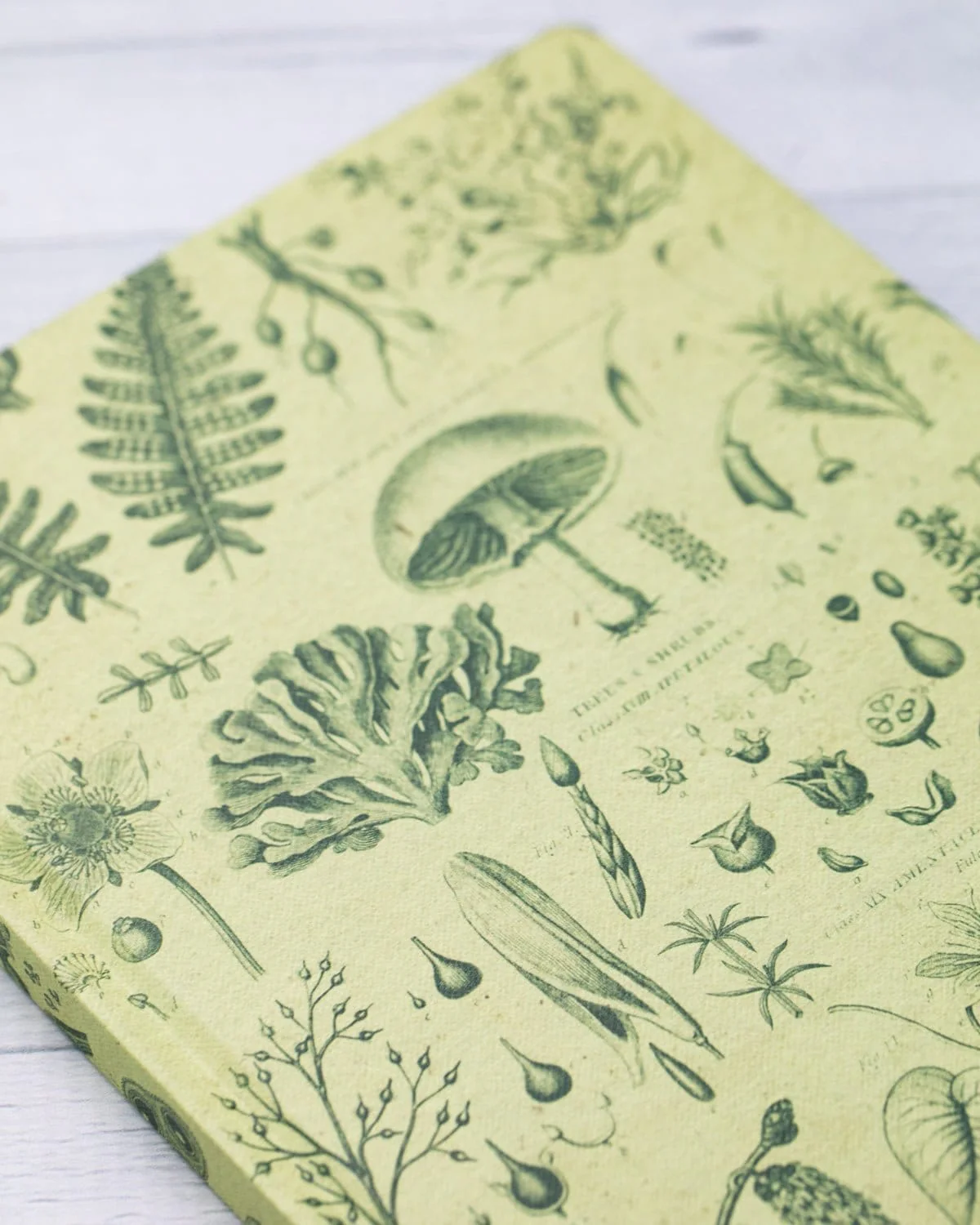 Plants & Fungi Hardcover Notebook - Lined/Grid - Image 7