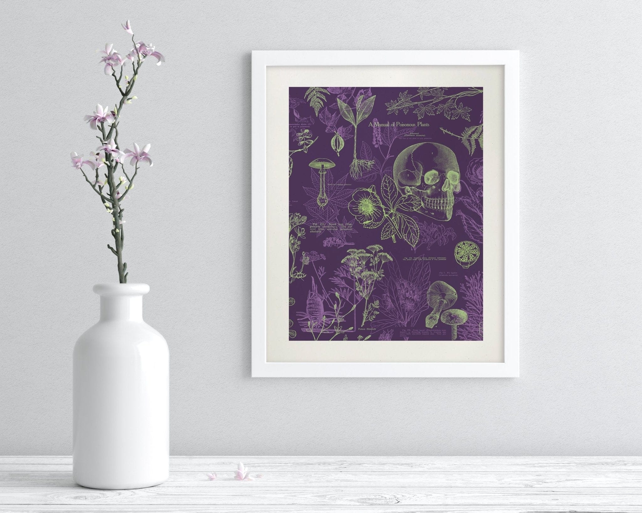 Poisonous Plants Scientific Illustration Museum Print - Image 3