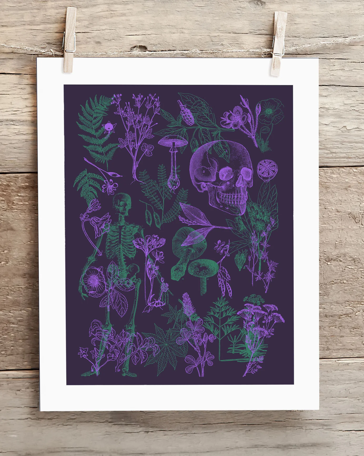 Poisonous Plants Pl 2 Scientific Illustration Museum Print - Image 2