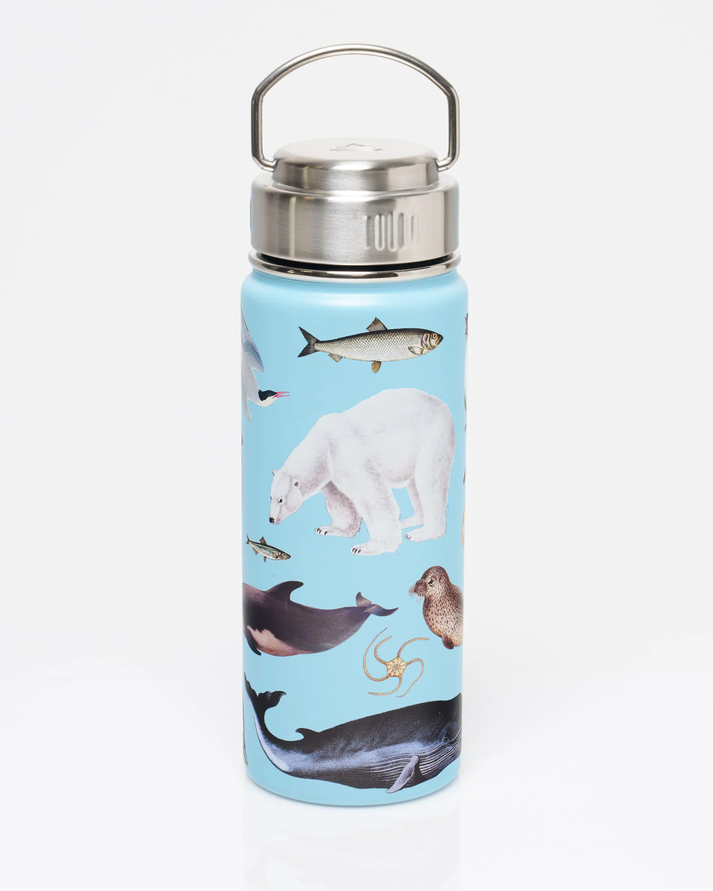 Polar Zoology 18 oz Steel Bottle - Image 2