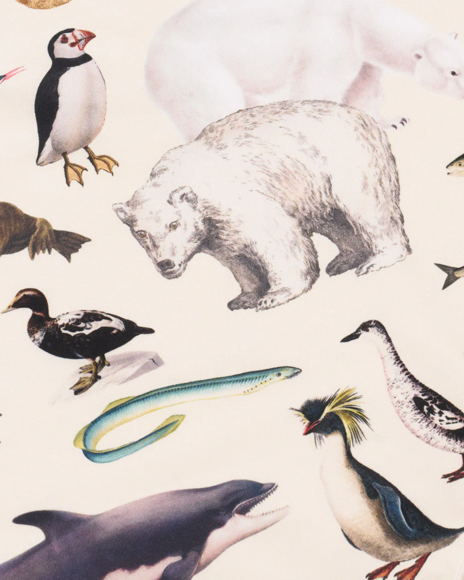 Polar Zoology Eco Pet Bandana - Image 2
