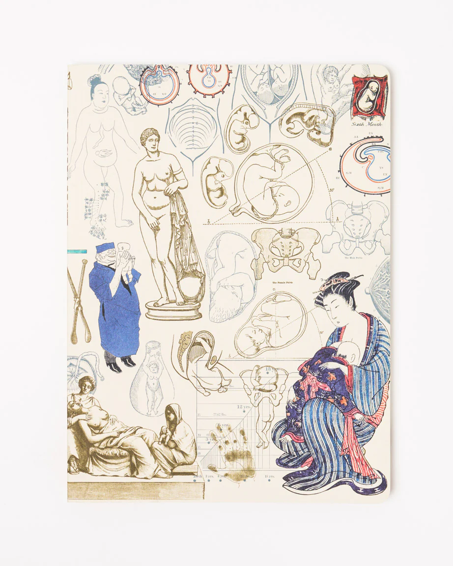 Pregnancy & Birthing Softcover Notebook - Lined