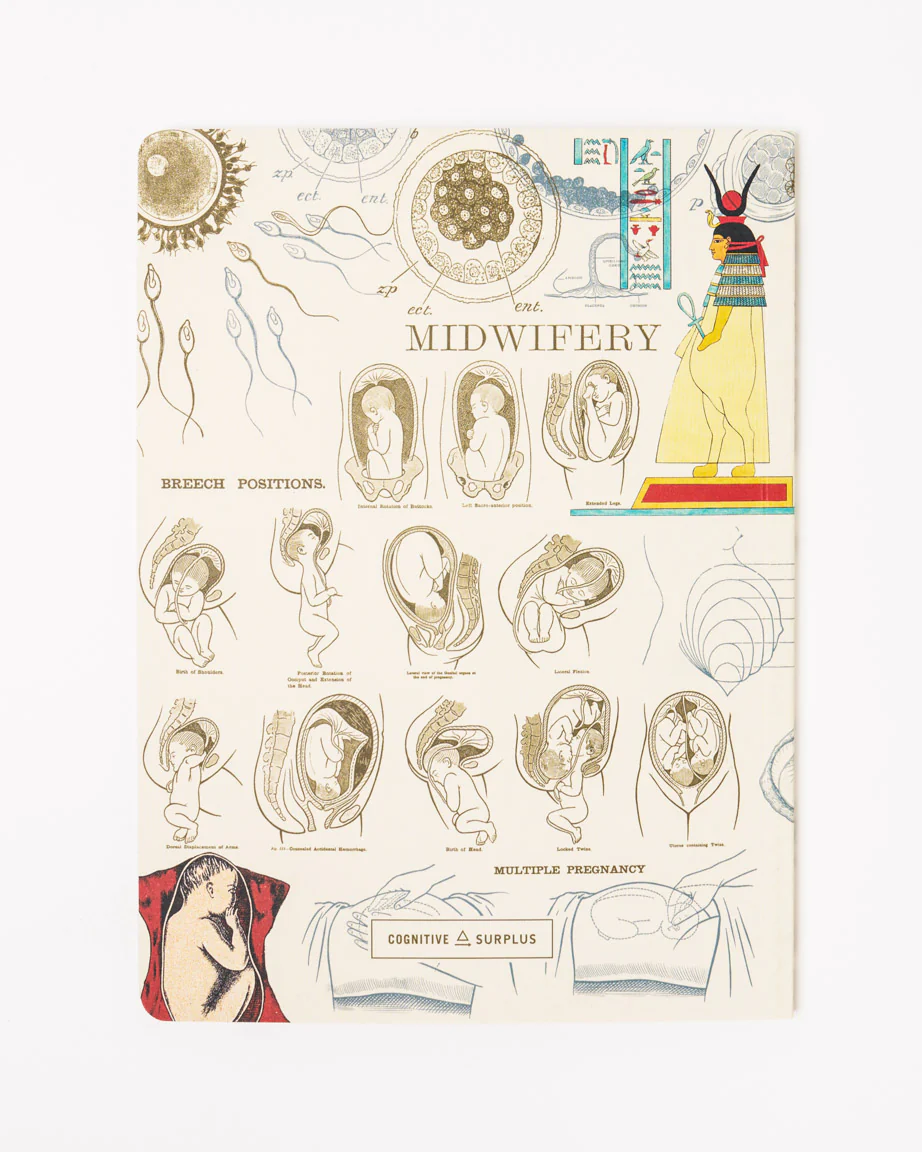 Pregnancy & Birthing Softcover Notebook - Lined - Image 2