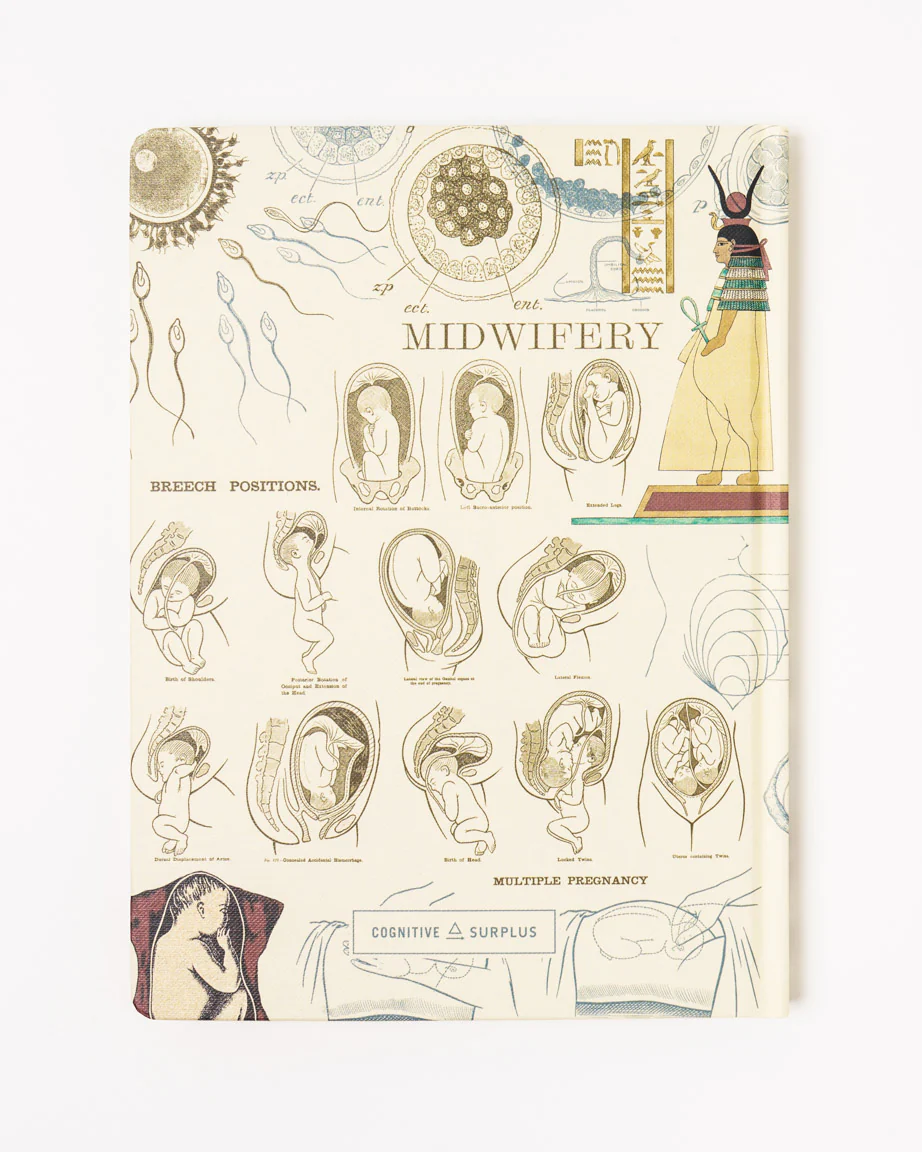 Pregnancy & Birthing Hardcover Notebook - Lined / Grid - Image 2