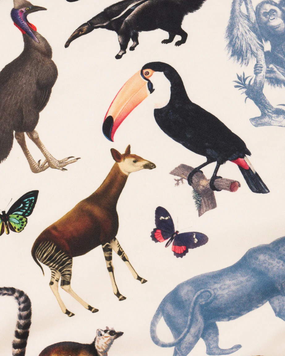 Rainforest Zoology Eco Pet Bandana - Image 2