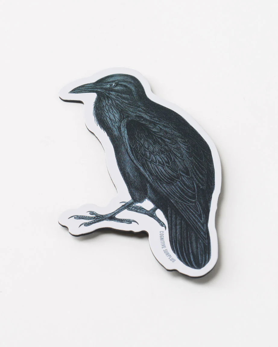Raven Magnet