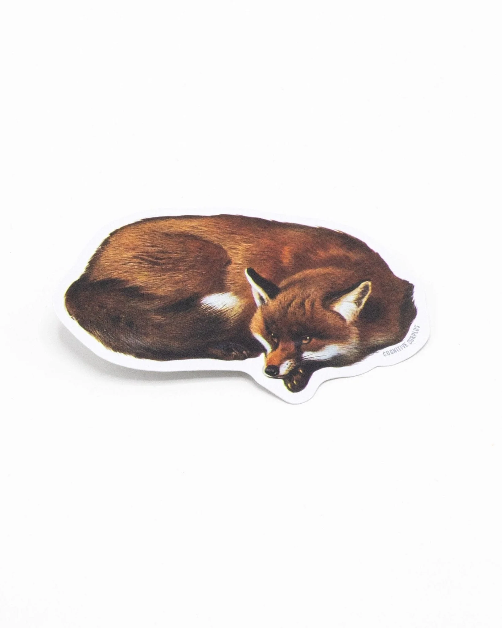 Red Fox Sticker