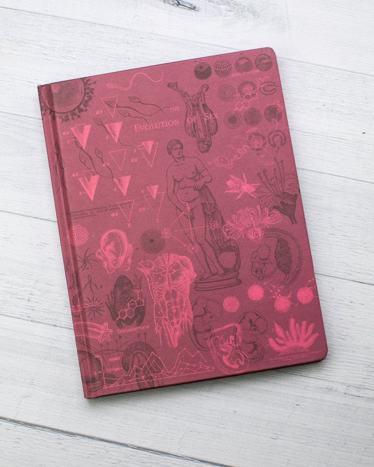 Reproduction Hardcover Notebook - Lined/Grid - Image 5