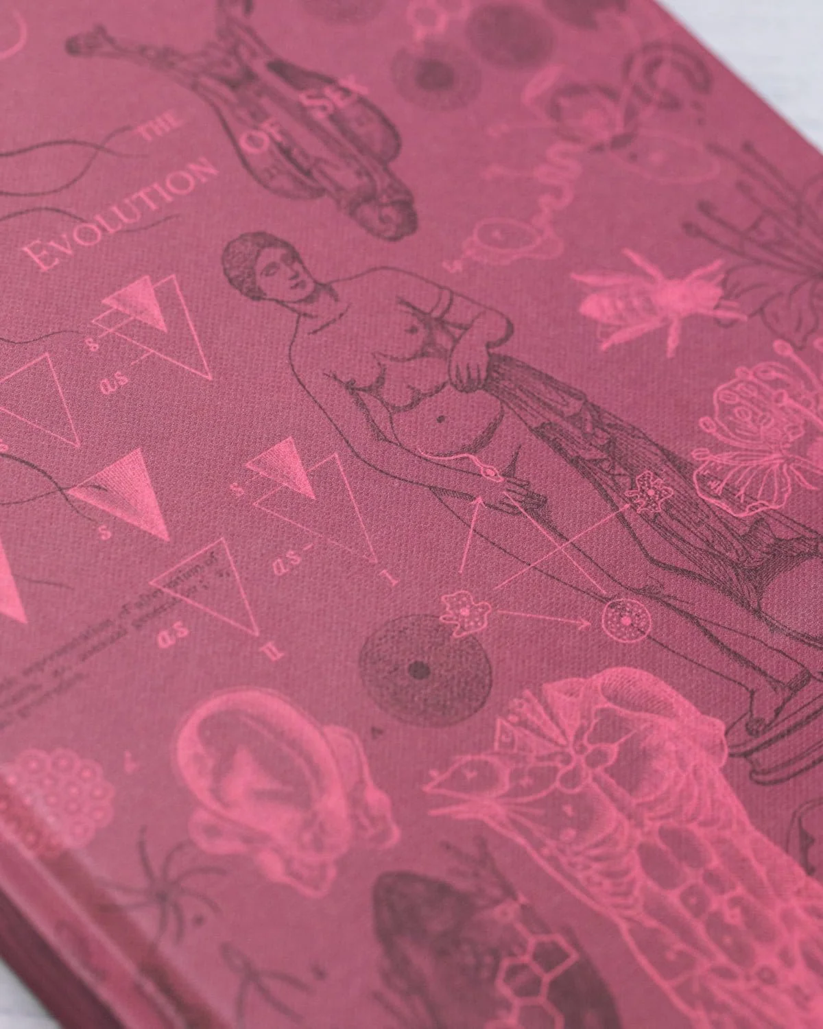 Reproduction Hardcover Notebook - Lined/Grid - Image 7