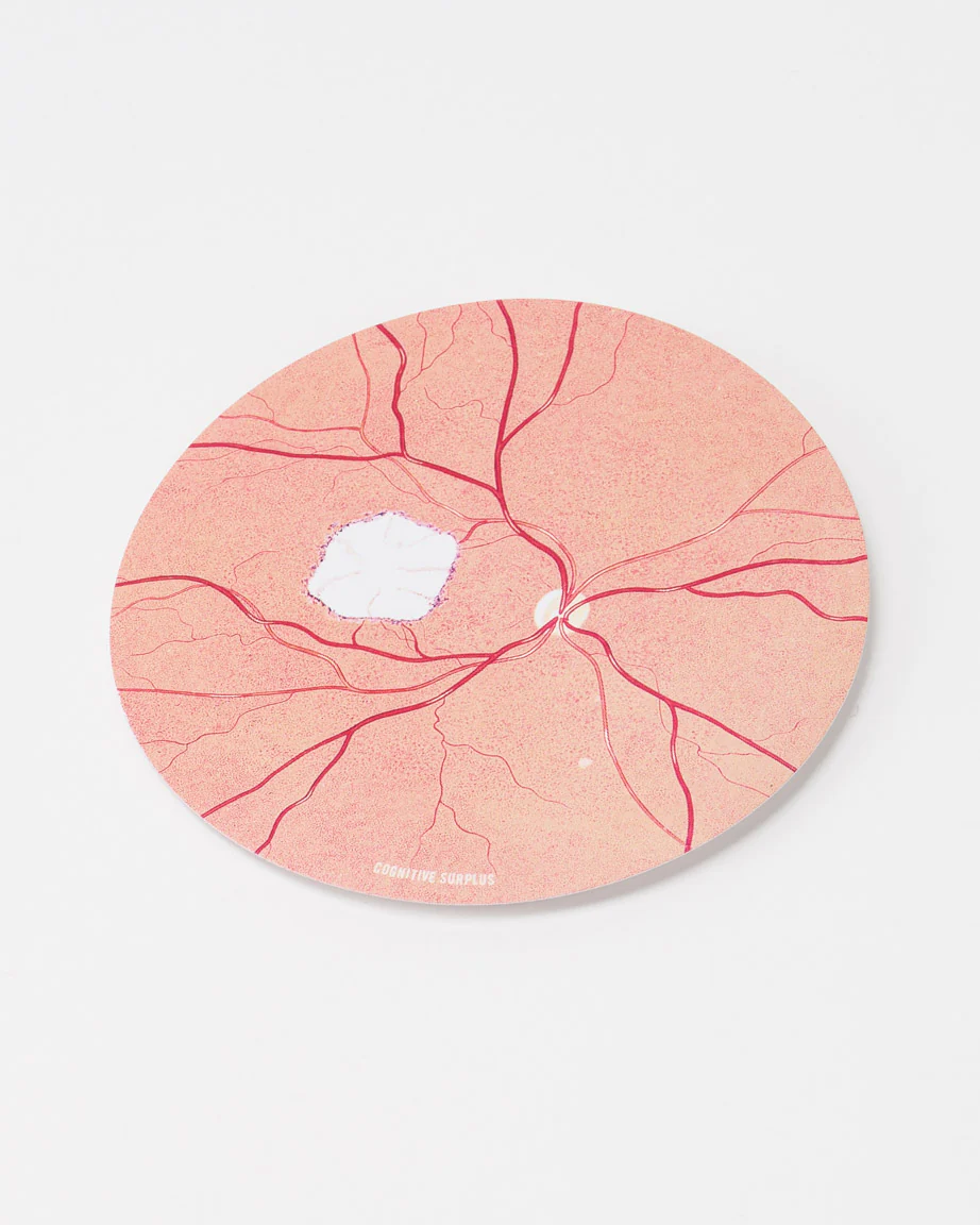 Retina Photo Sticker - Image 2