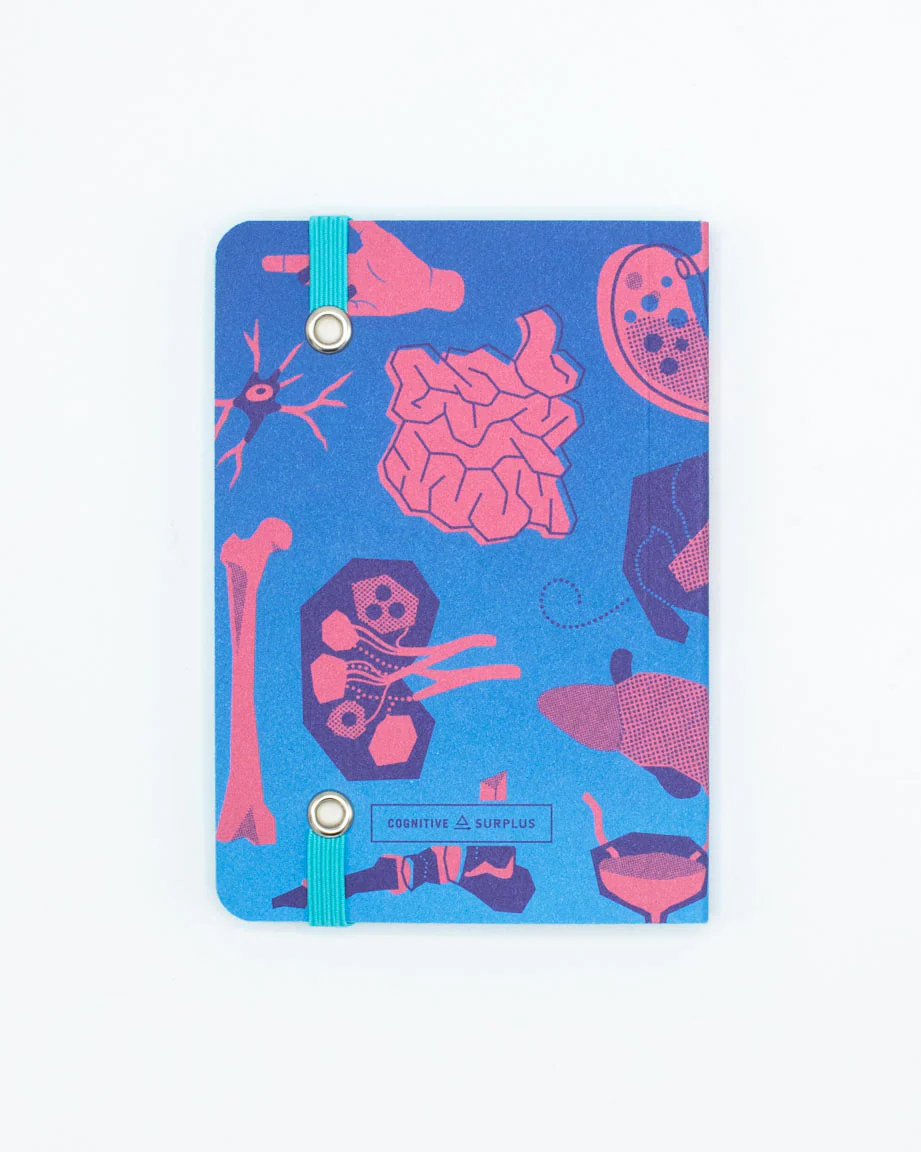 Retro Anatomy Observation Softcover - Image 3