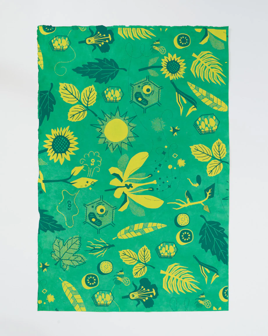 Retro Botany Wrapping Paper - Image 2