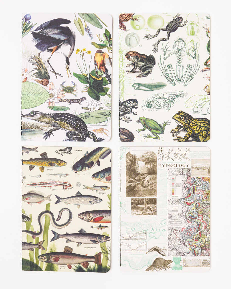 Riparian Pocket Notebook 4-pack - Image 3