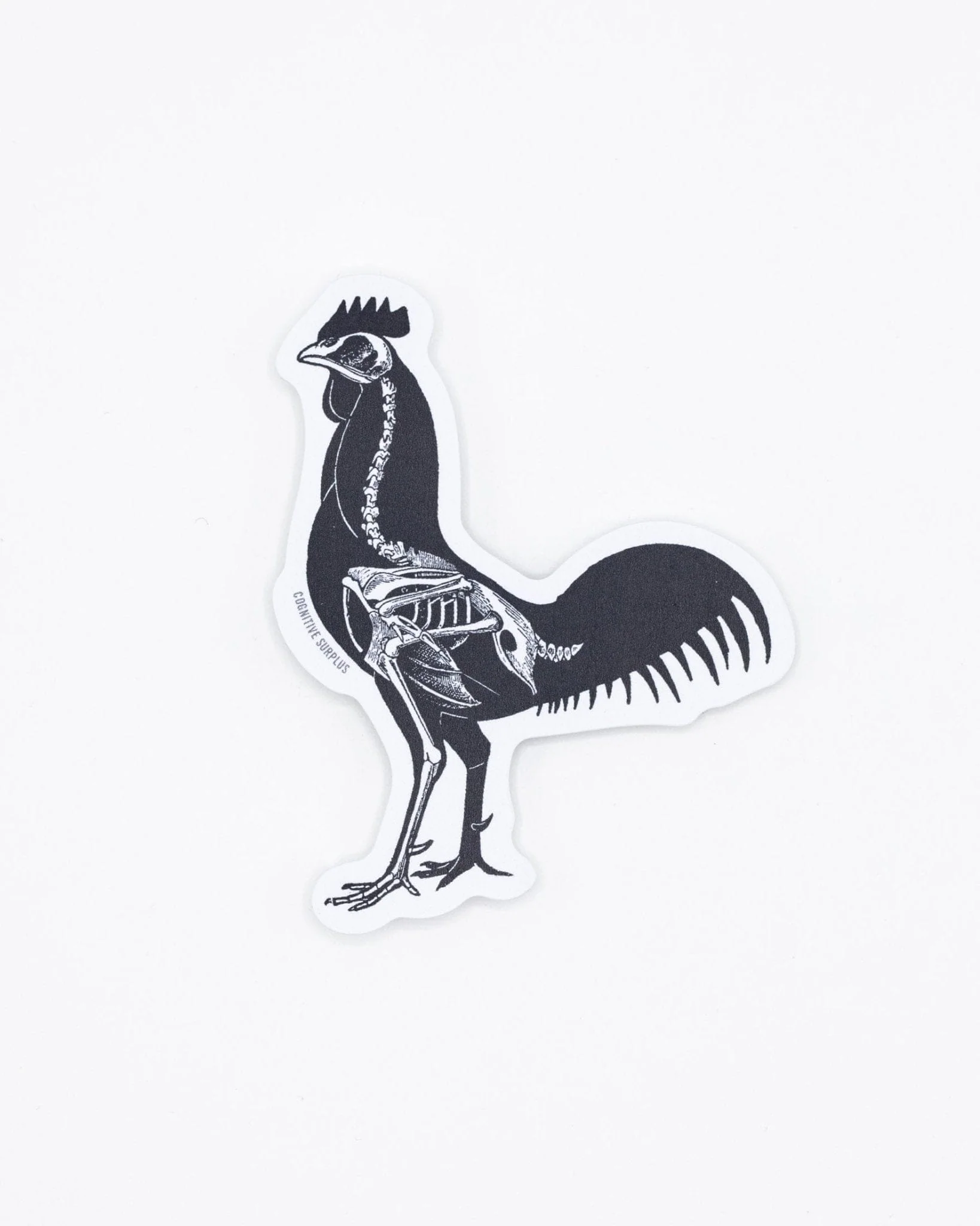 Rooster X-Ray Sticker - Image 2