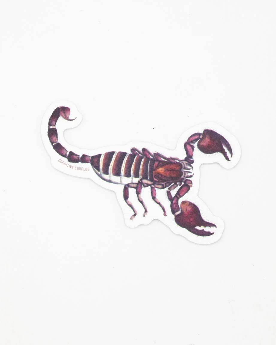 Scorpion Sticker - Image 2