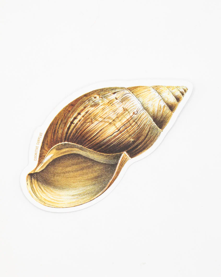 Sea Shell Sticker - Image 2