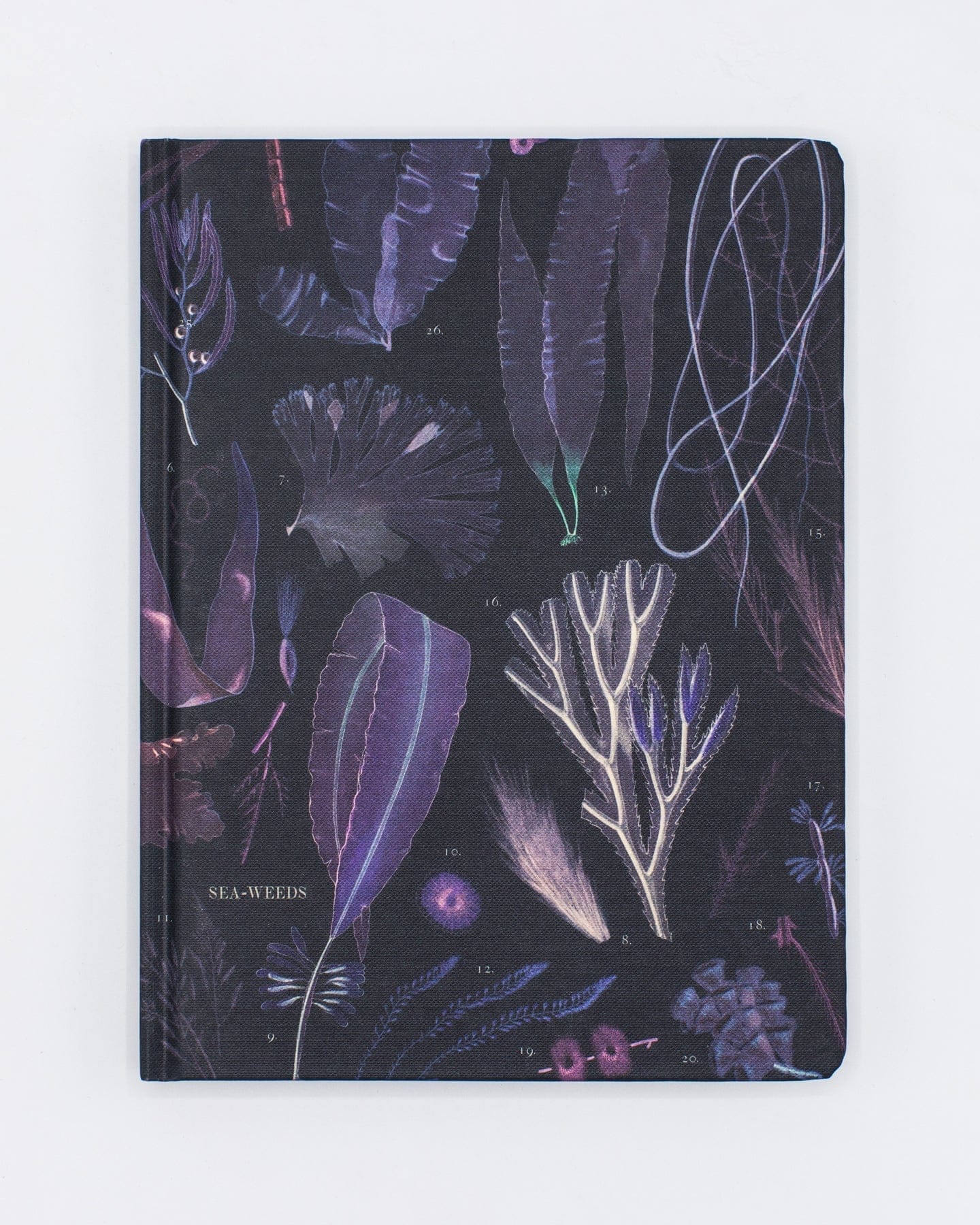 Seaweed Hardcover Notebook - Dot Grid