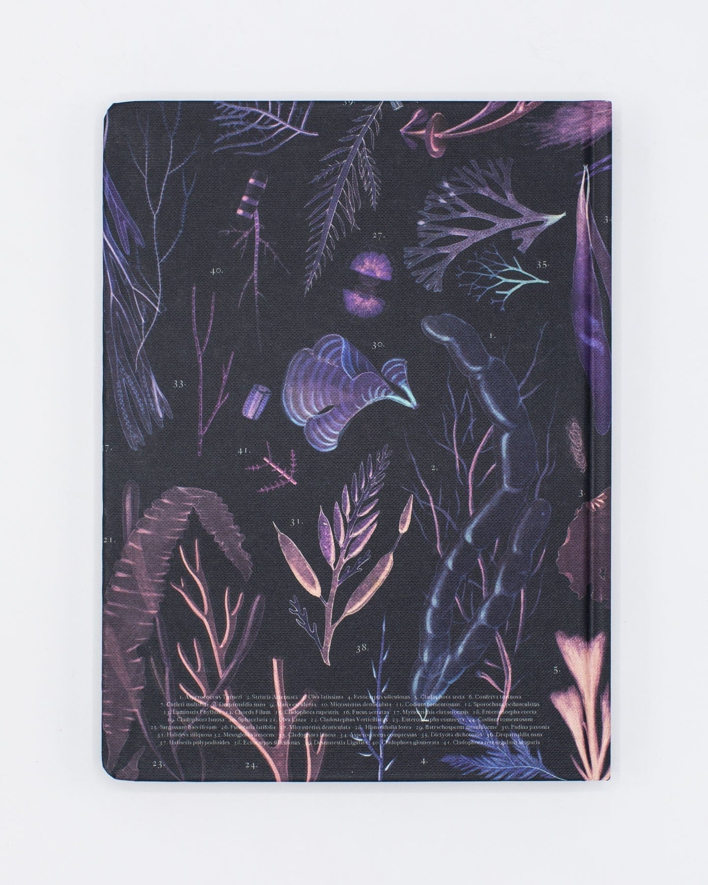 Seaweed Hardcover Notebook - Dot Grid - Image 2
