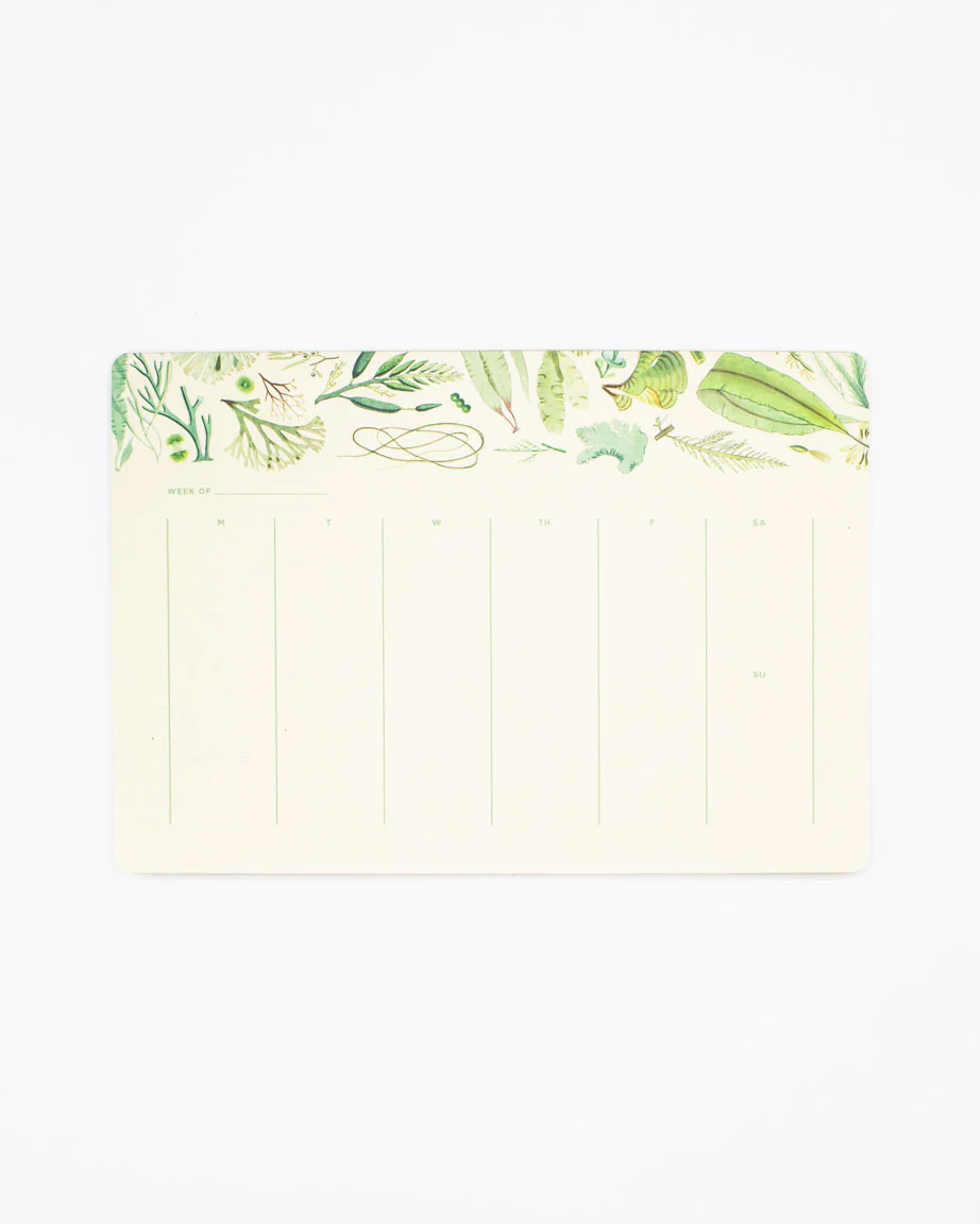 Seaweed Notepads - Image 2