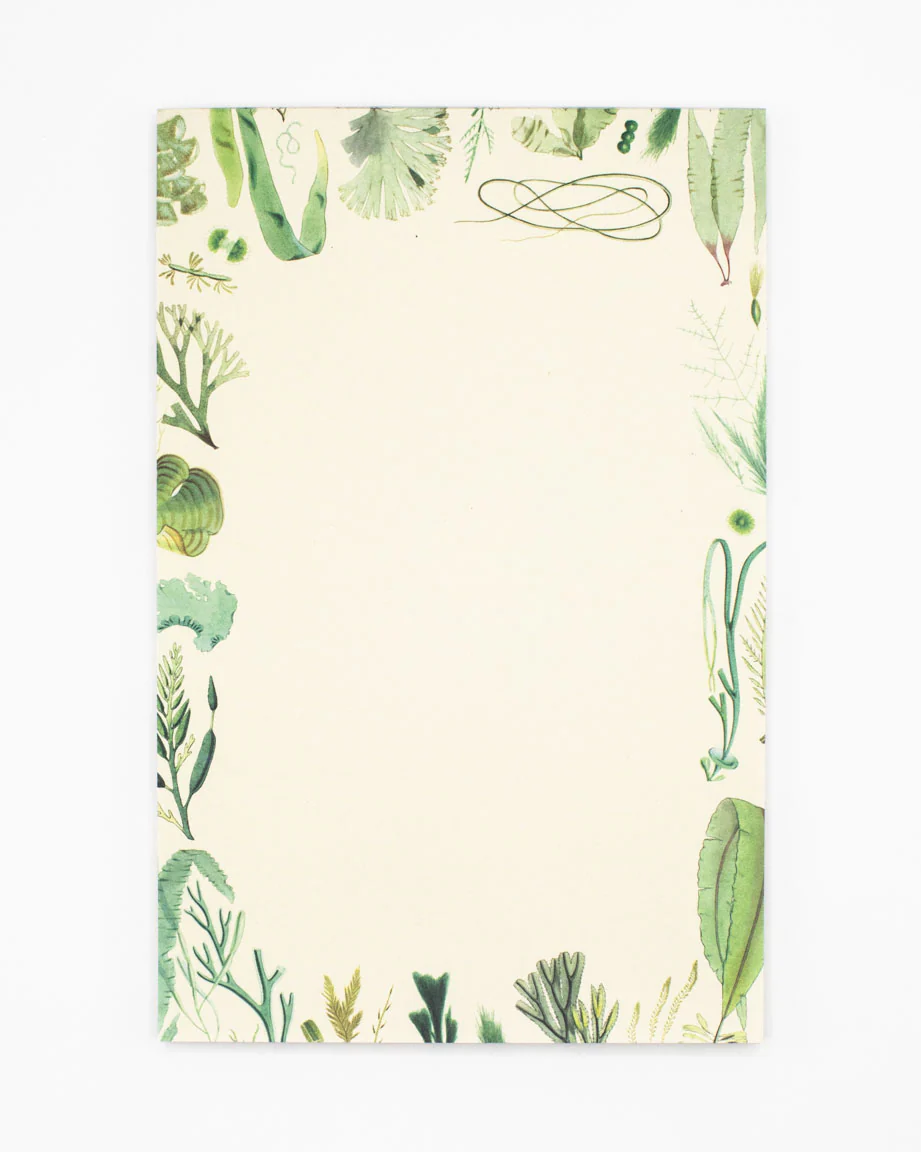 Seaweed Notepads - Image 6