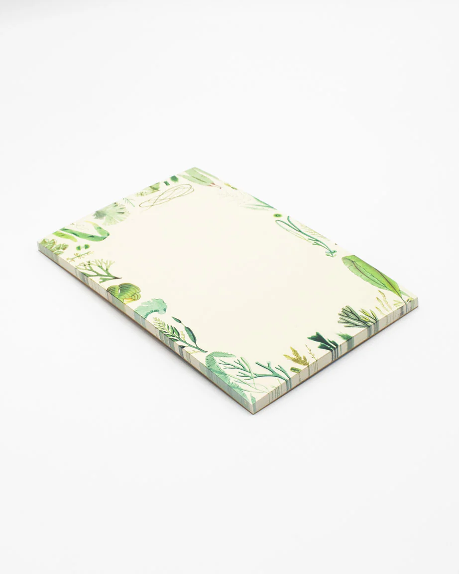 Seaweed Notepads - Image 7