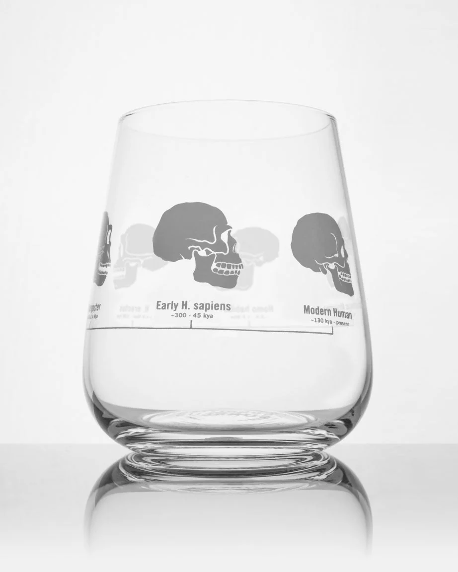 SECONDS: Hominid Skulls Wine Glass - Image 4