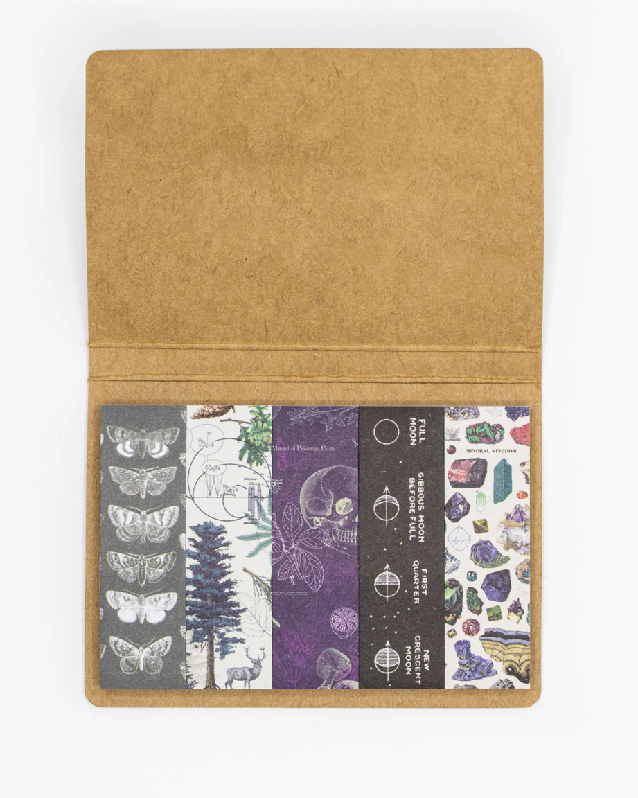 SECONDS: Moonlit Forest Page Flags - Image 2