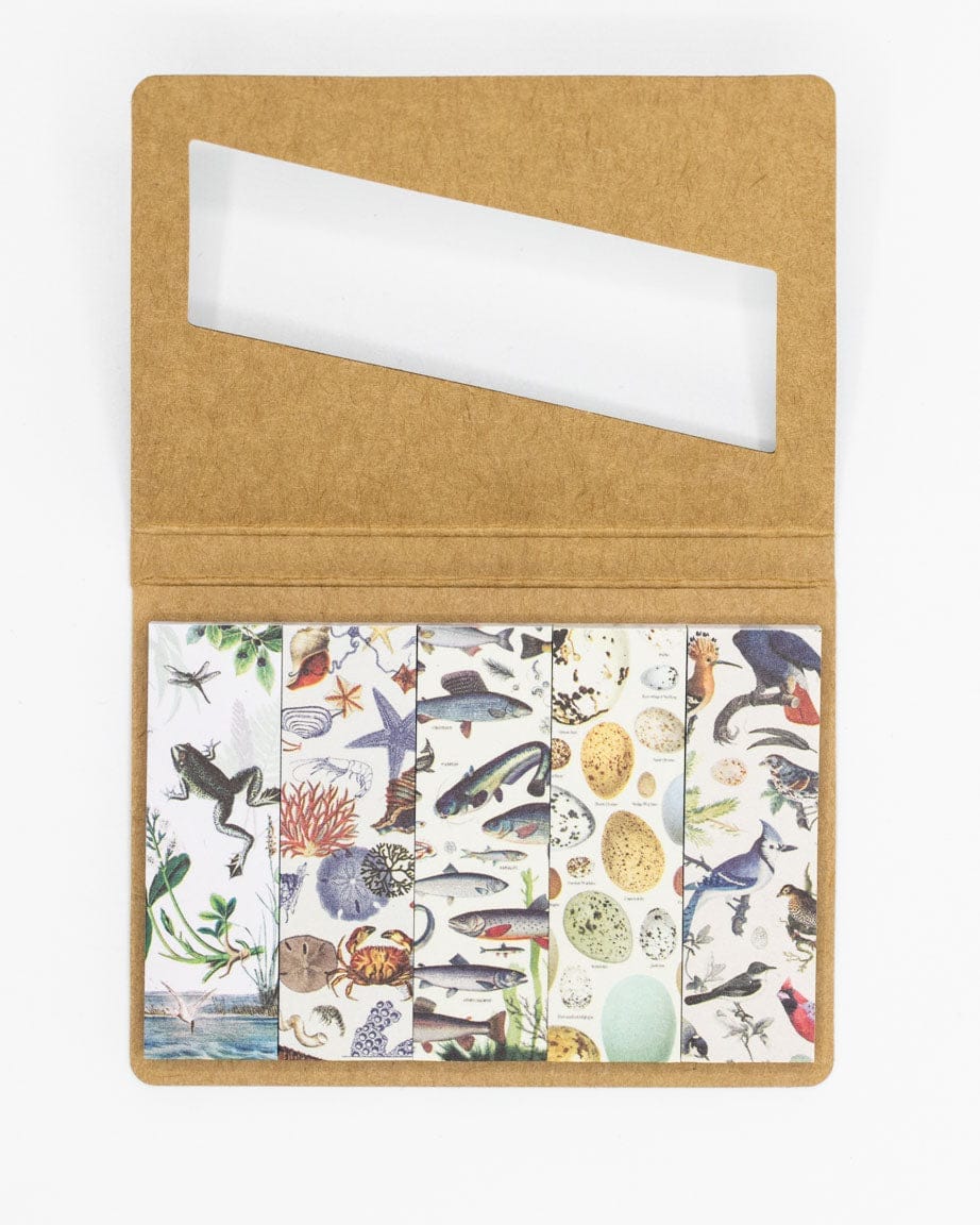 SECONDS: Shoreline Page Flags - Image 2