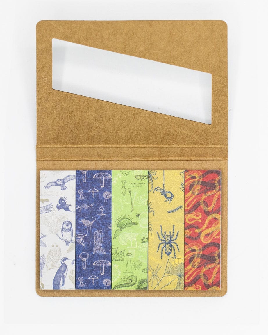 SECONDS: Soar, Slither, Grow Page Flags - Image 2