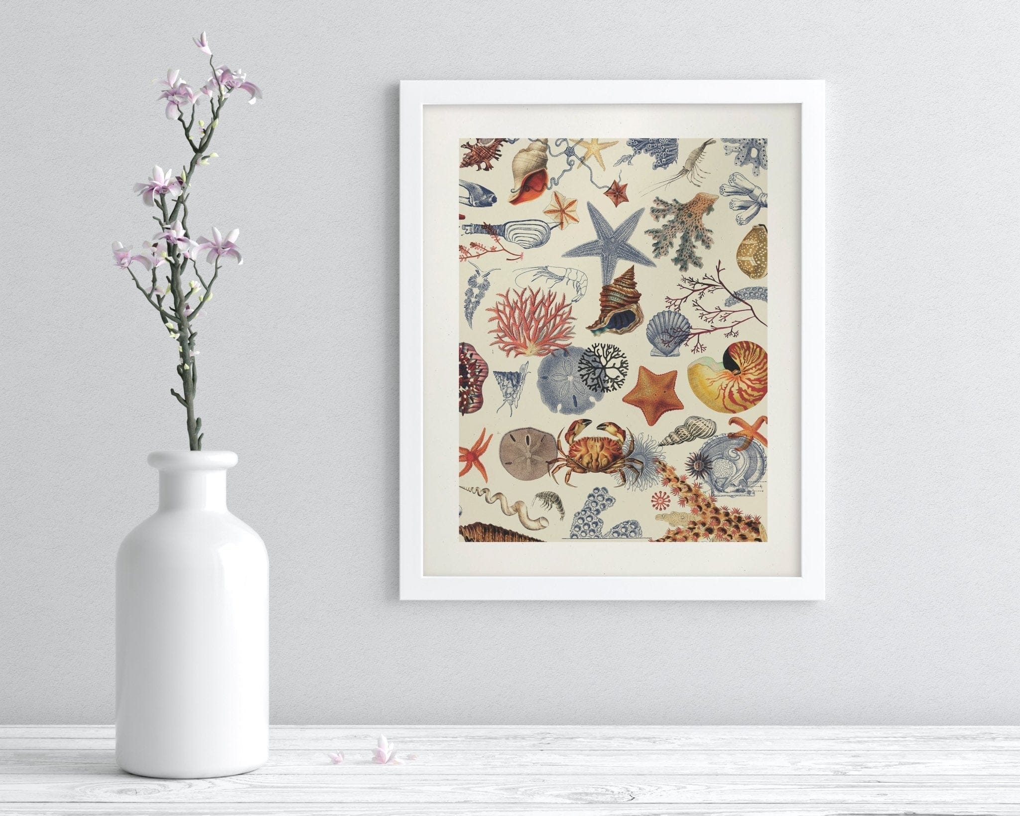 Shallow Seas Scientific Illustration Museum Print - Image 3