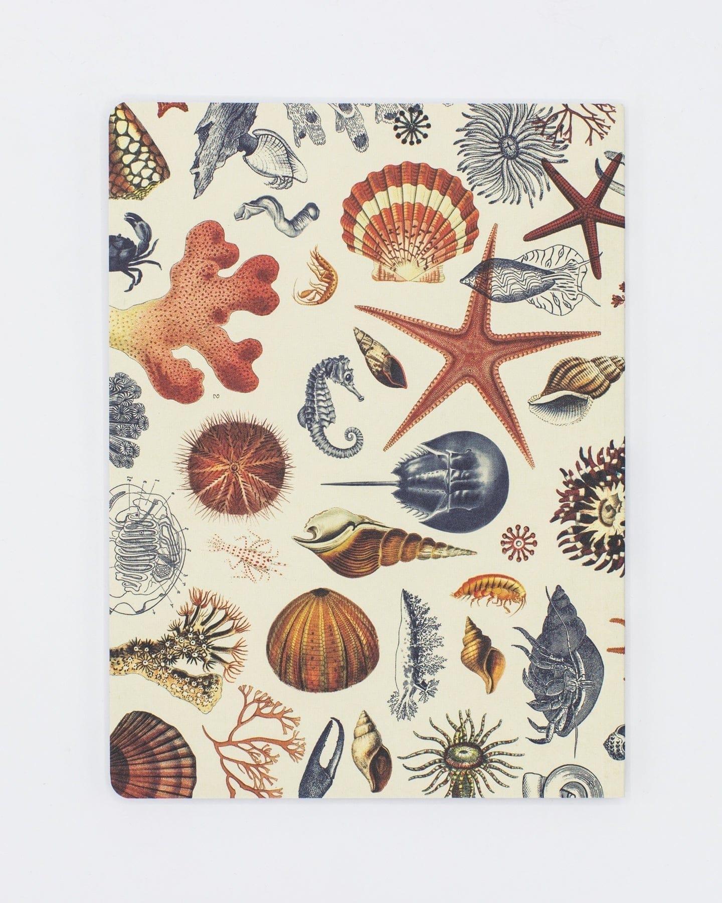 Shallow Seas Plate 2 Softcover Notebook - Lined - Image 2
