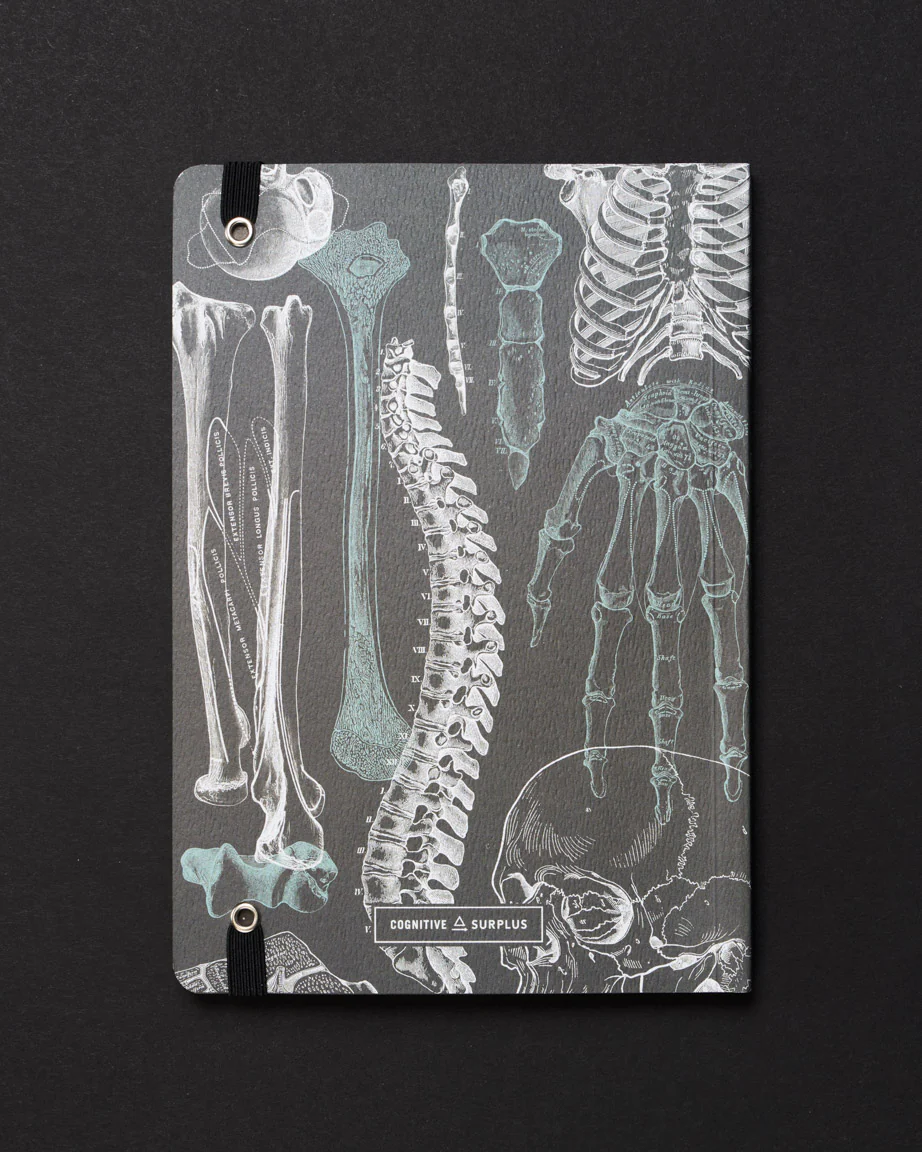 Skeleton Dark Analysis A5 Softcover Notebook - Image 2
