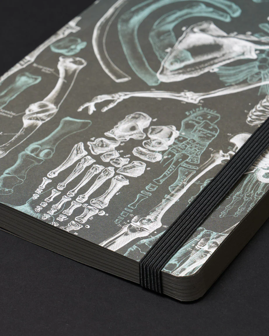 Skeleton Dark Analysis A5 Softcover Notebook - Image 4