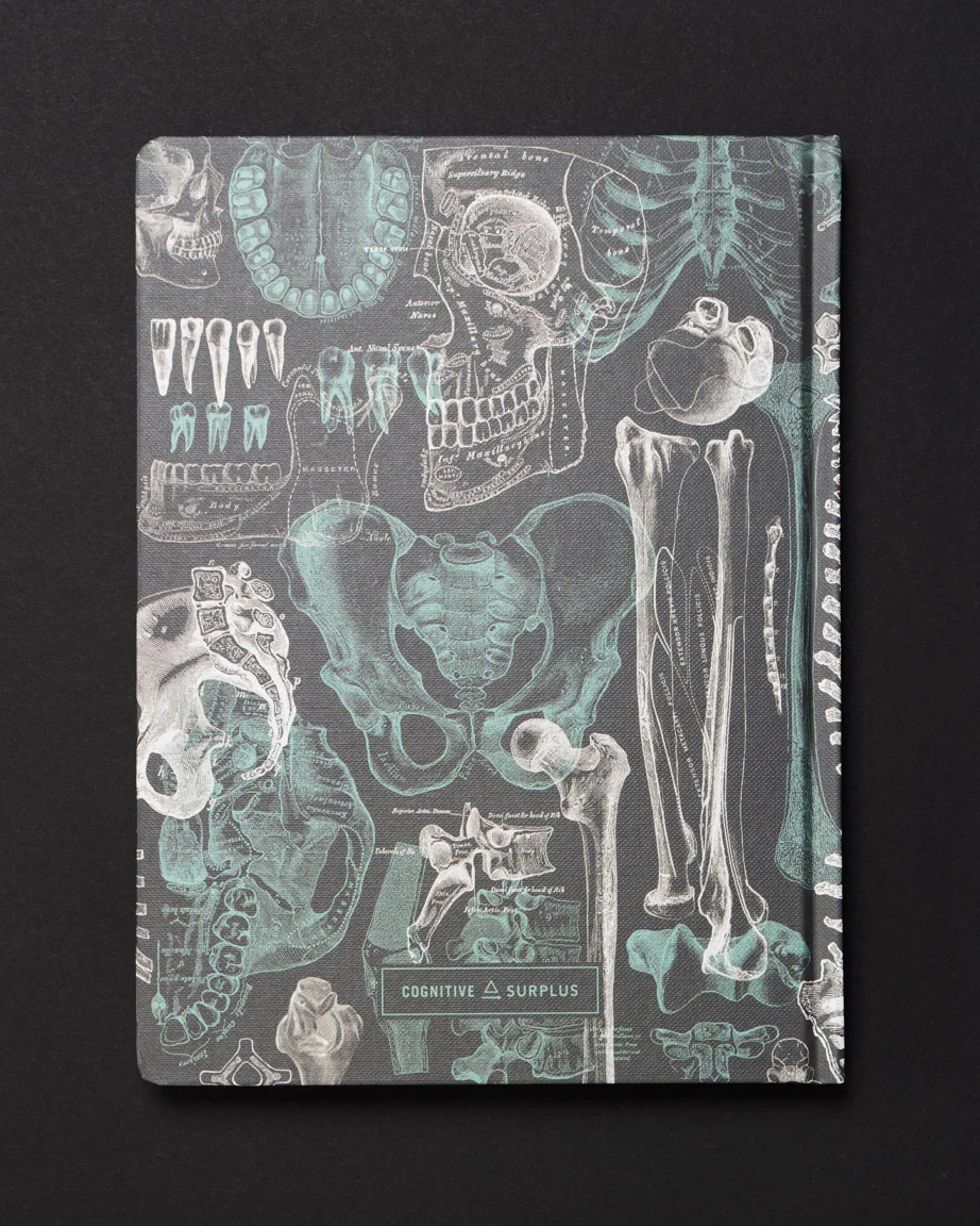 Skeleton Dark Matter Notebook - Image 2