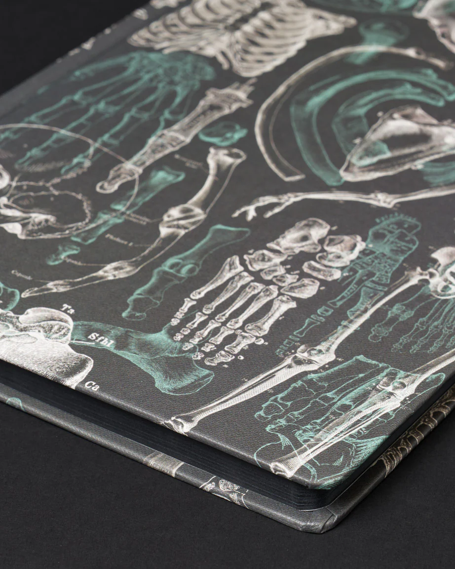 Skeleton Dark Matter Notebook - Image 3