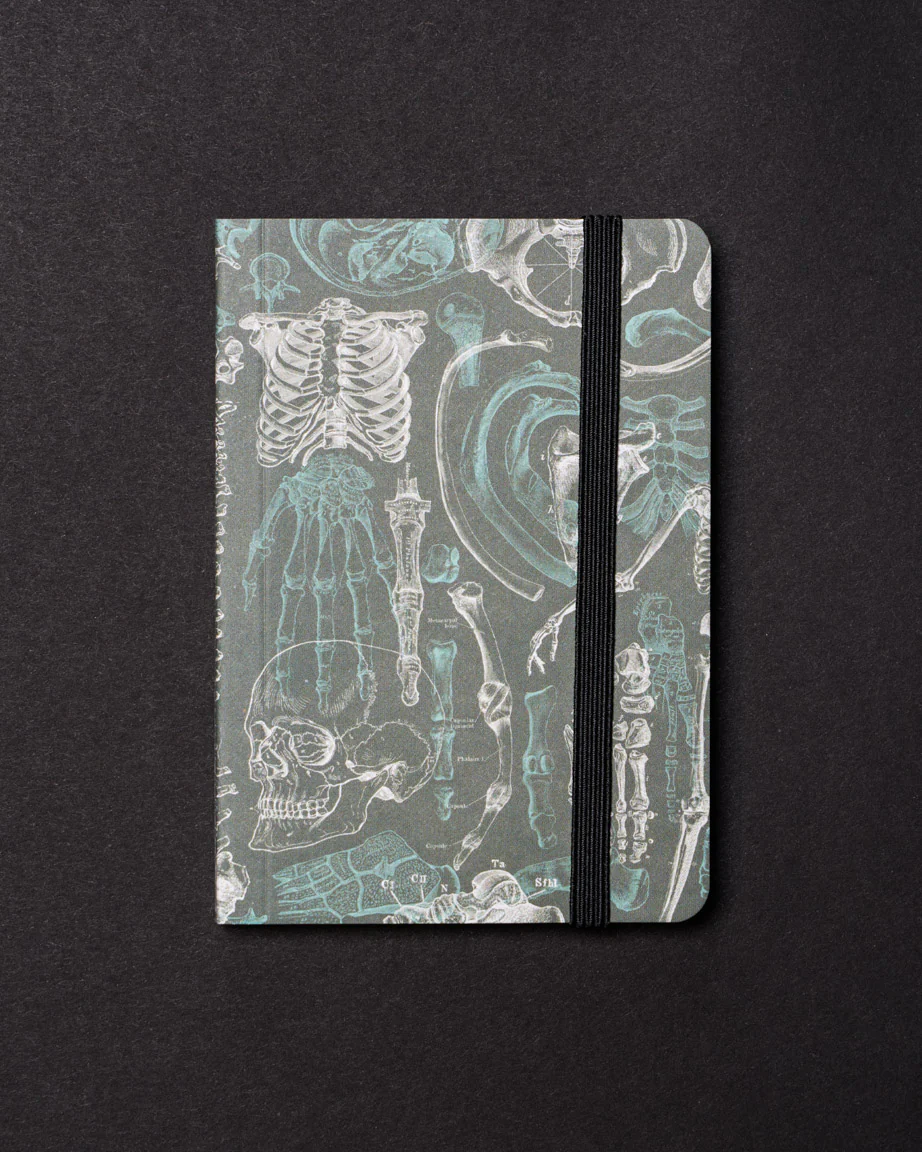 Skeleton Dark Observation Softcover