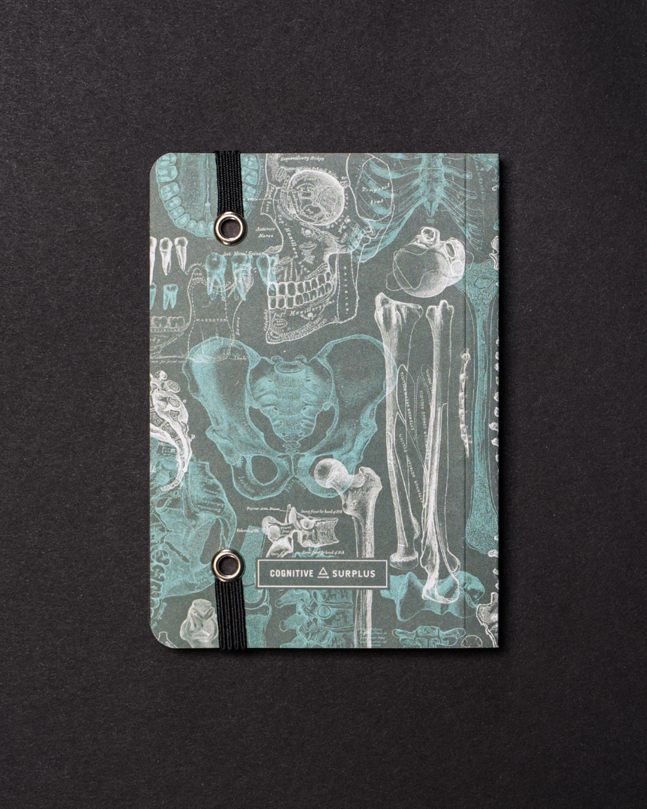 Skeleton Dark Observation Softcover - Image 3