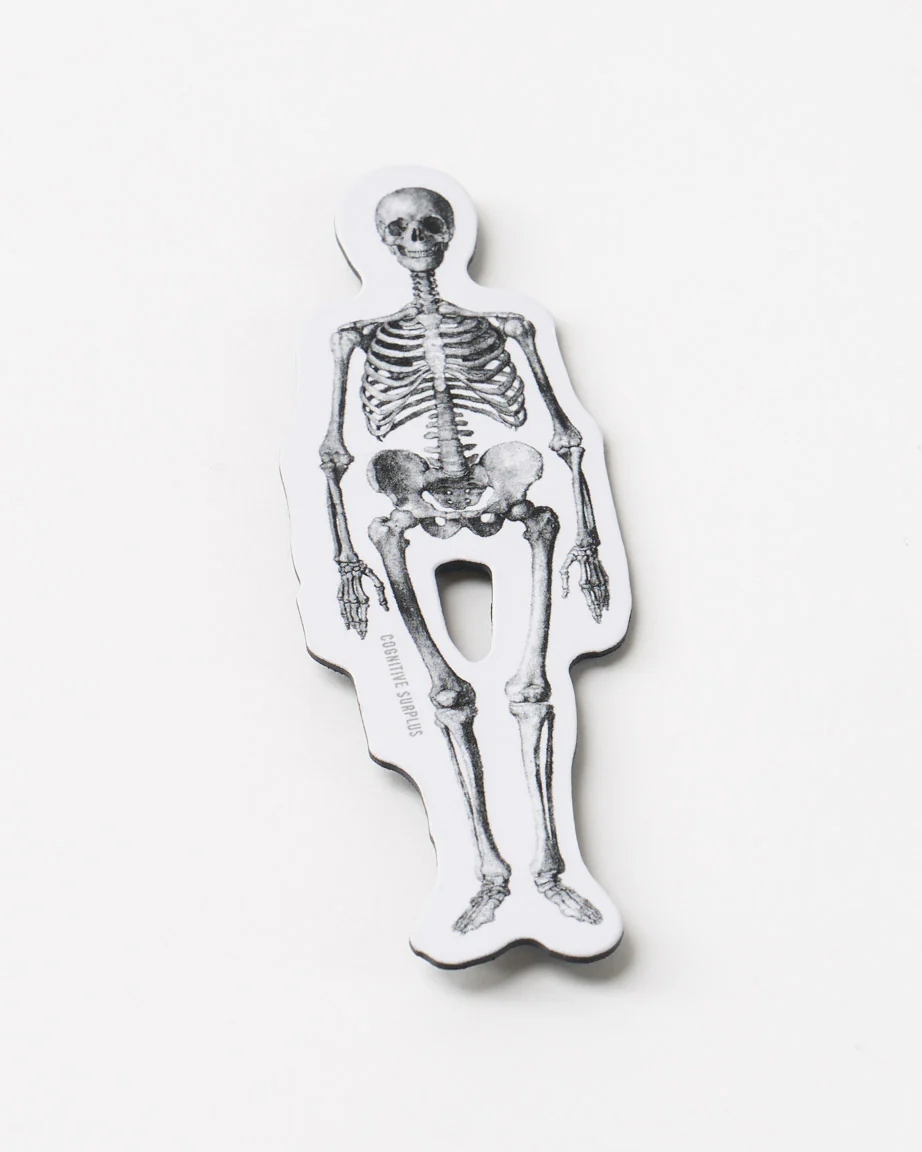 Skeleton Magnet
