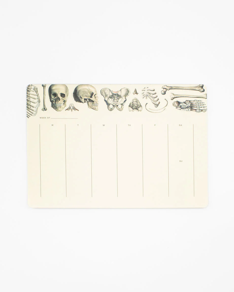 Skeleton Notepads - Image 2