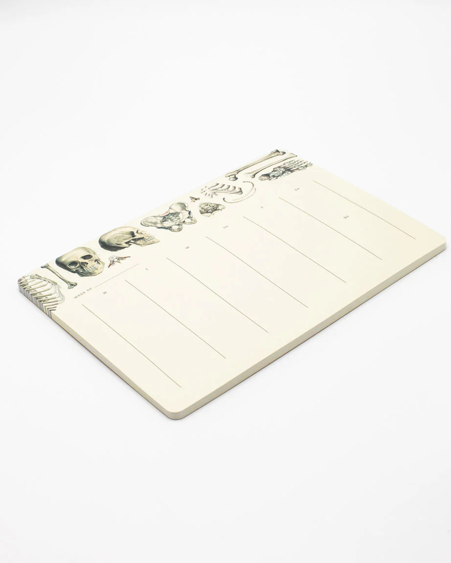 Skeleton Notepads - Image 3