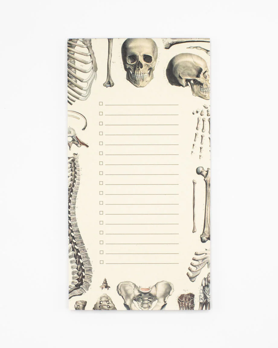 Skeleton Notepads - Image 4