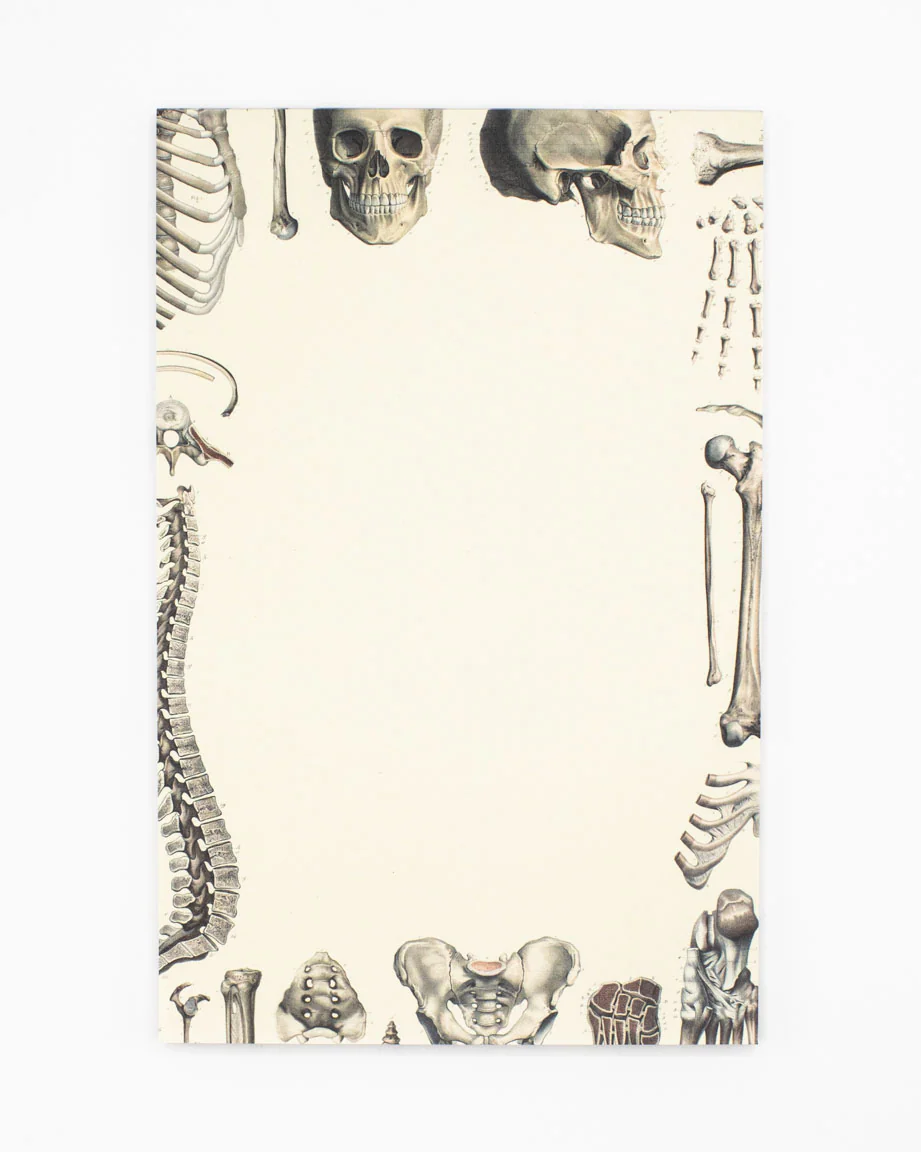 Skeleton Notepads - Image 6