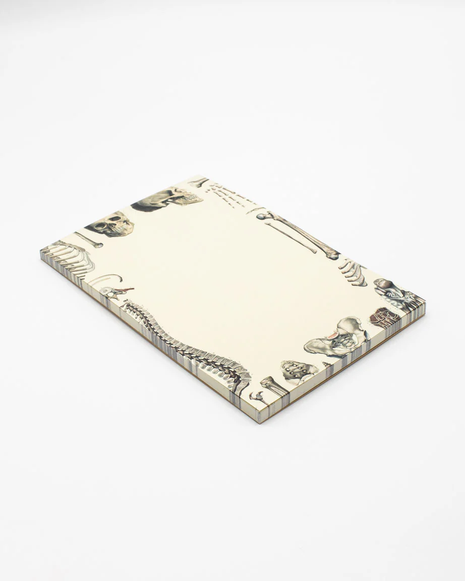 Skeleton Notepads - Image 7