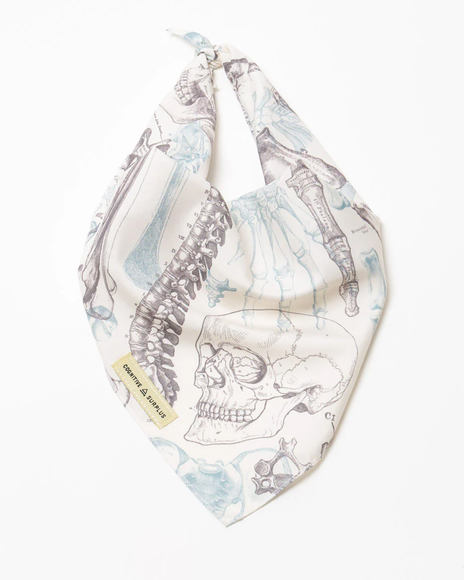 Skeleton Eco Pet Bandana