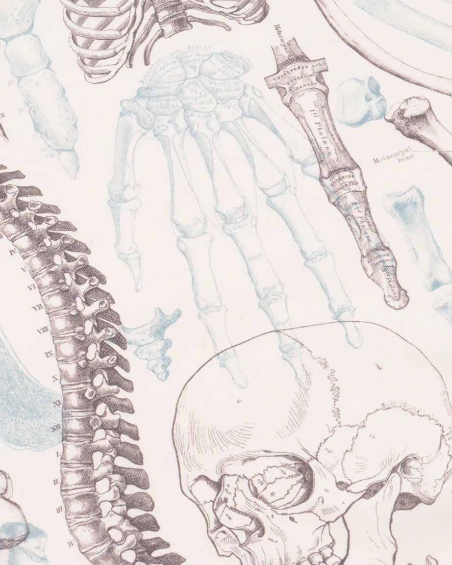 Skeleton Eco Pet Bandana - Image 2