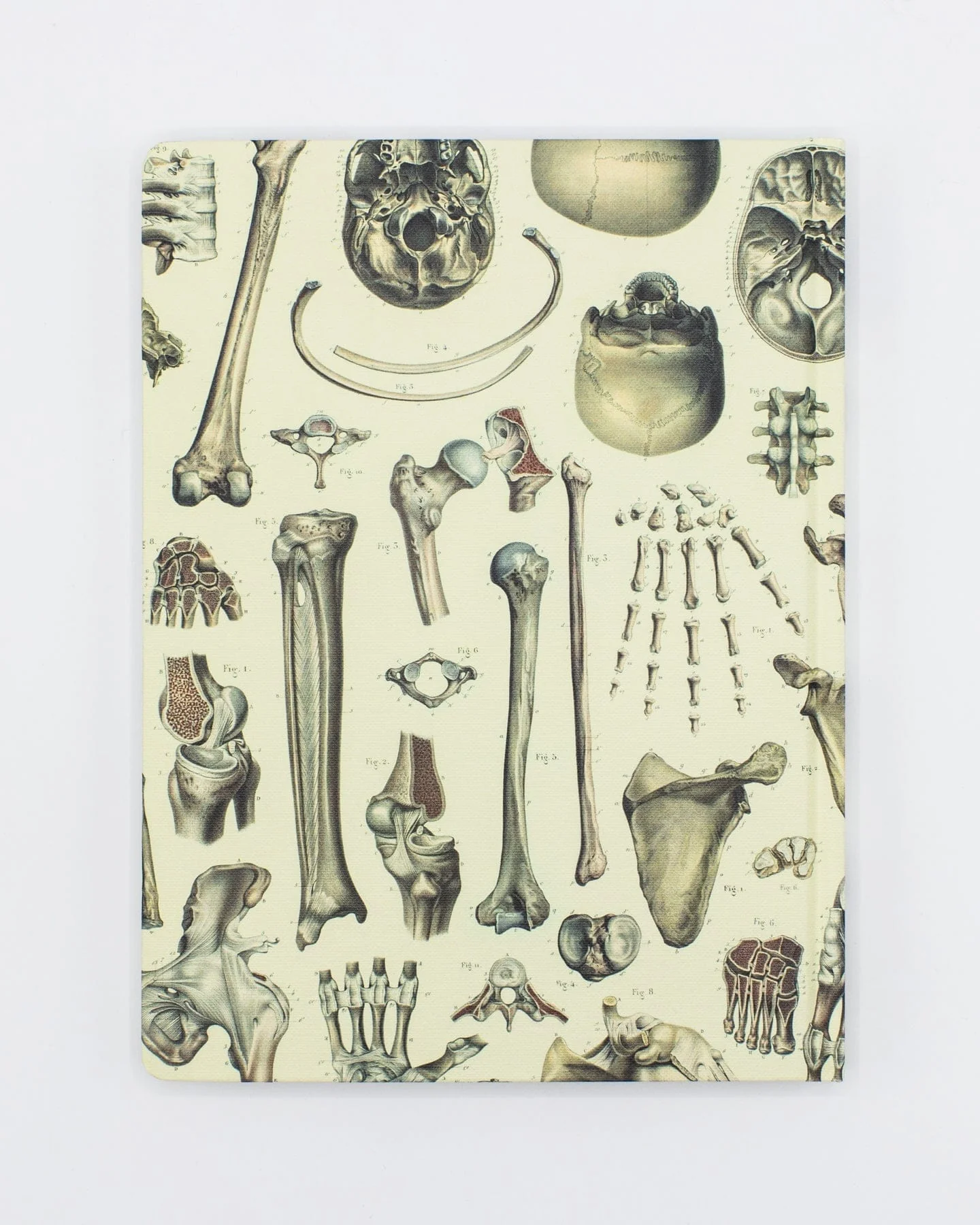 Skeleton Pl 2 Hardcover Notebook - Dot Grid - Image 2