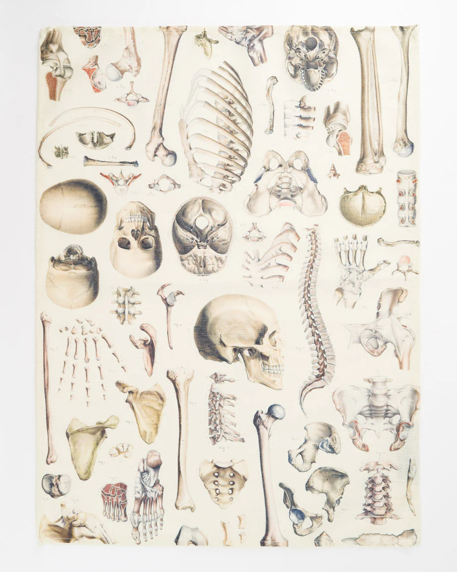 Skeleton Tea Towel